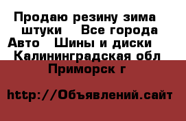 Продаю резину зима 2 штуки  - Все города Авто » Шины и диски   . Калининградская обл.,Приморск г.